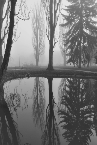 Fotografie města - zimní zátiší