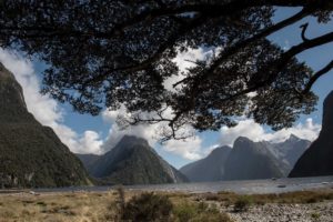 Fiordland New Zealand - fotografie přírody