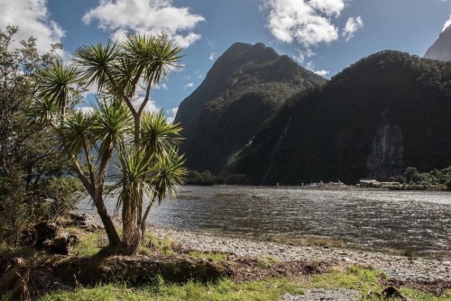 Zátoka ve Fiordlandu na Novém Zélandu